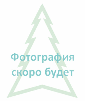 Елка Милана 2,70м
