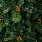 Елка Мендоза 2,44 м