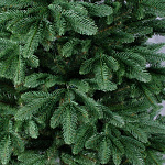 Елка Байкальская 6,00м, E4060