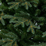 Елка Франклин 2,44 м