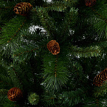 Елка Мендоза 2,13 м