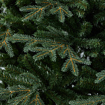 Елка Франклин выс.1,83 м вст