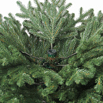 Елка Милана 1,90м