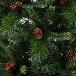 Елка Мендоза 1,83 м