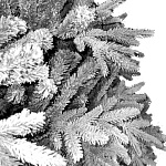 Елка Франклин 2,44 м заснеженная