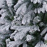 Елка Деавер заснеженная 2,13 м