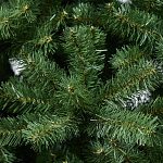 Елка Дакота 1,20м